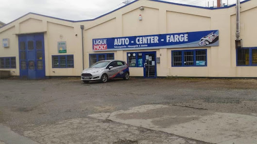 Auto-Center-Farge Meisterbetrieb