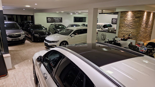 Autohandel Profi