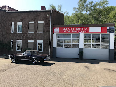 Auto Herz