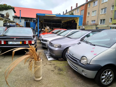 Auto Topal