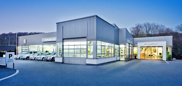 Leo Sprungmann GmbH