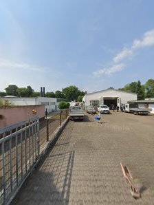 Weiß und Mause