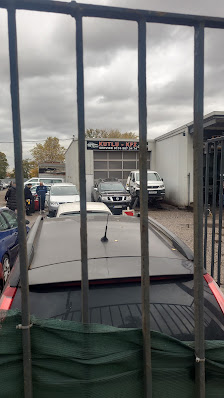 Auto Nikola