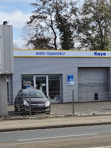Kaya Haydar
