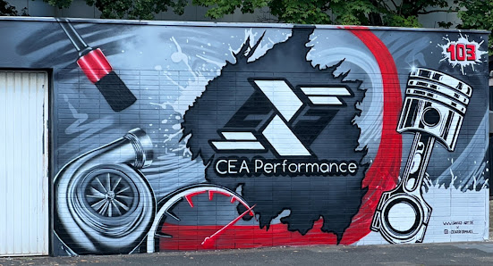 CEAPERFORMANCE