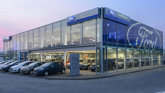 Auto Nagel
