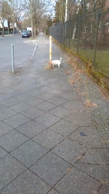 ATU Berlin - Zehlendorf