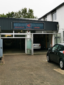 XE-Autoservice Wolf