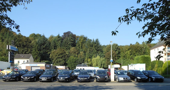 Eurocar & Pflege