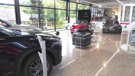 Auto Schmeltzer GmbH