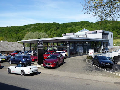 Auto Schmeltzer GmbH