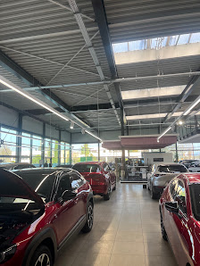 IVANCAN - Mazda & Hyundai