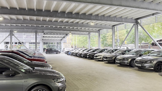 Skoda Karlsruhe | Autohaus Graf Hardenberg GmbH