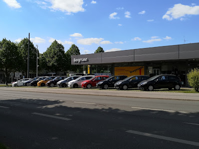 Autohaus Borgmann Opel / LeapMotor / Škoda Service