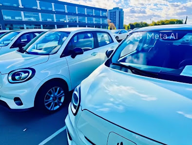 Autohaus Borgmann Opel / LeapMotor / Škoda Service