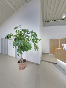 Autocenter Haas GmbH (Nissan-Händler)