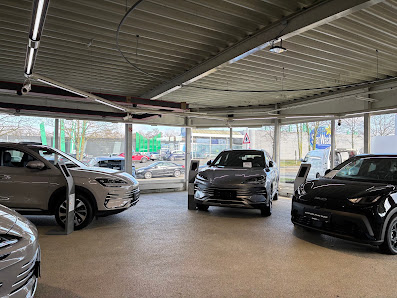 Autovertrieb G.E.C.A. GmbH Gelsenkirchen I Vertragshändler BYD