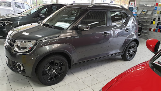 Auto Schrader NISSAN | MG | SUZUKI