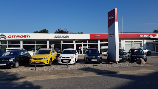 Auto Horn GmbH Kia und Campster / Vanster Vertragshändler - Altenholz