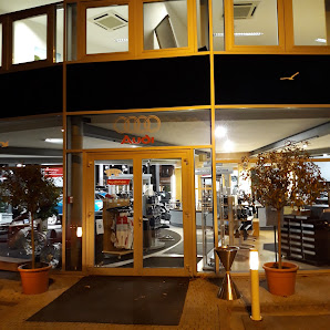 Graf Hardenberg GmbH & Co. KG