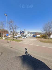 Ihre Rayas GmbH in Magdeburg