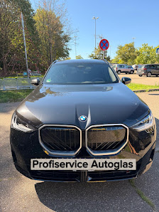 Profiservice Autoglas