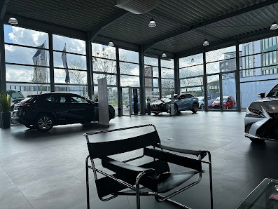 Auto Levy GmbH