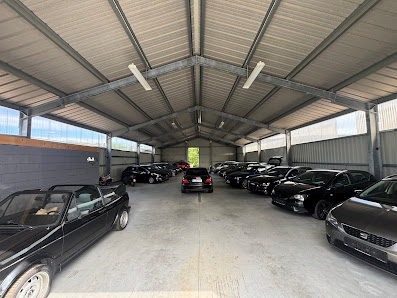 Bion Automobile