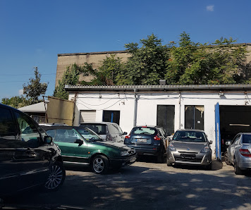 Auto Urbanski