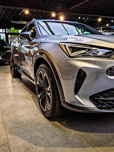 Tiemeyer Oberhausen (Seat, Cupra)