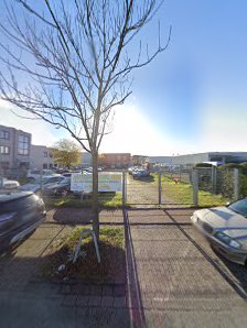 Autopark Grün