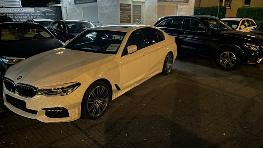 Apaydin Automobile