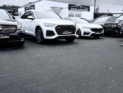 Apaydin Automobile