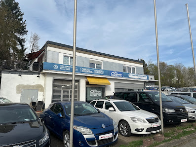 Ludweilerautomobile