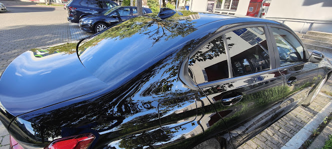Dellenzentrum Reutlingen Baur Hagel-& Parkschadenmanagement