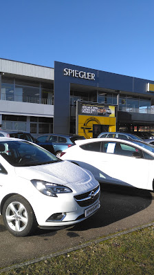 Autolöwen Spiegler