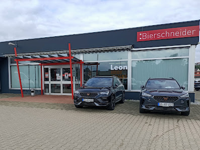 Auto Bierschneider