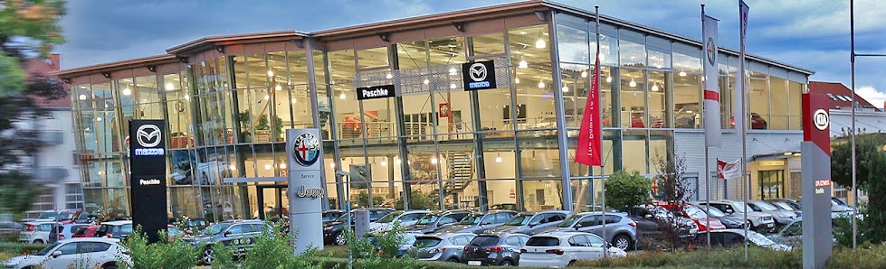 ahg Autohandelsgesellschaft mbH, Kia und Hyundai Vertragshändler, Bosch Car Service - ehemals Autohaus Paschke
