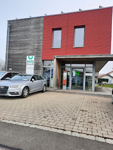 Auto Galerie