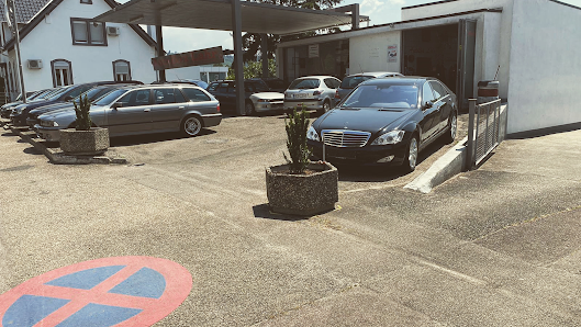 T & P Automobile