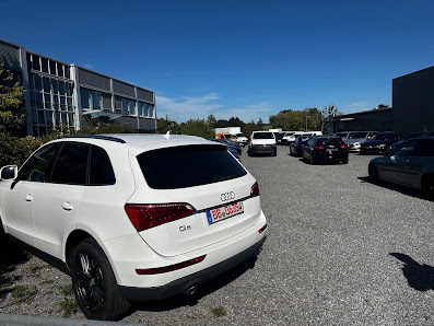 MS Motors