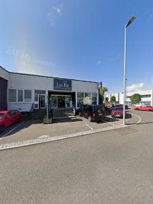 Holger Schaub GmbH & Co KG