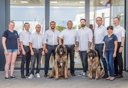 Autohaus Braun GmbH, Alfa Romeo-Händler