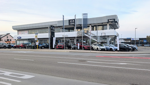 Autohaus Epple: Ford, BYD, Mazda, E-Bikes von Waldbike in Rutesheim