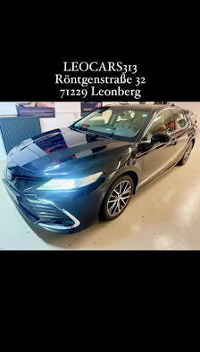 LEOCARS313