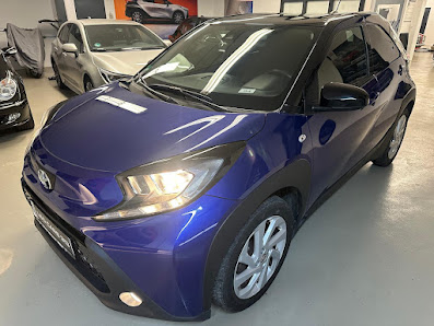 LEOCARS313