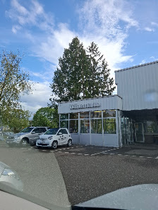 Autohaus Wildermuth GmbH & Co. KG