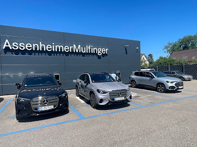 Assenheimer + Mulfinger GmbH & Co. KG