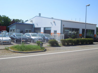 Michael Salobir Automobile