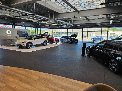 Autohaus Riess GmbH & Co. KG, Mercedes-Benz | smart | DAF